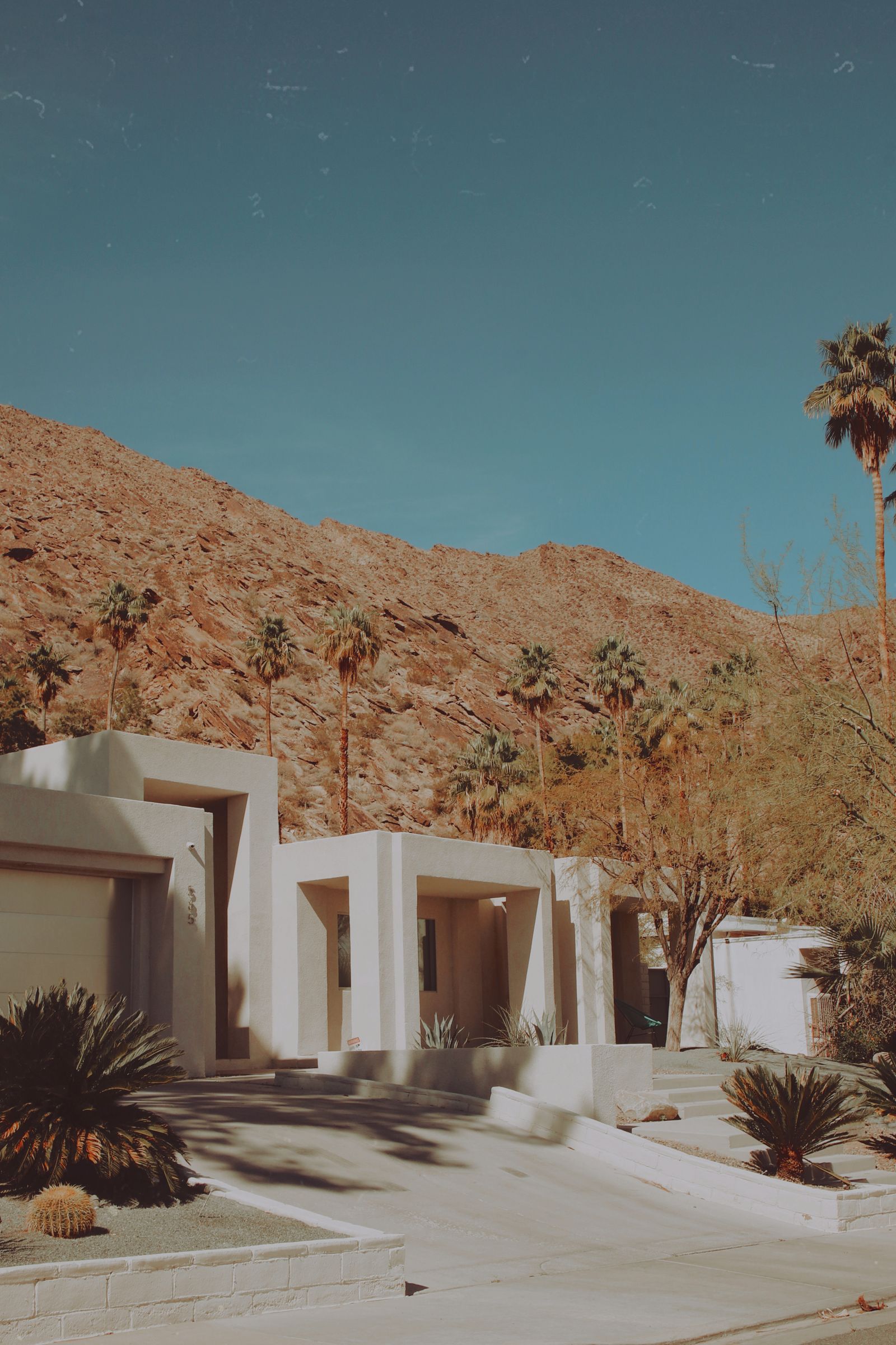 Upscale Arizona desert home with xeriscape landscaping